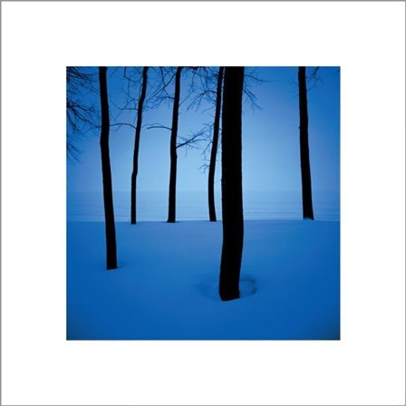 Trees In Snow by Ted Wood art print