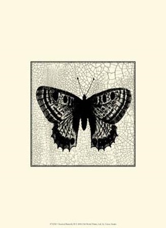 Classical Butterfly II by Vision Studio art print