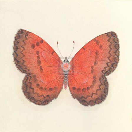 Butterfly I by Sophie Golaz art print