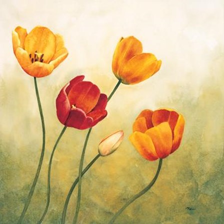 Brezza Sui Tulipani by Maria Grazia Luffarelli art print