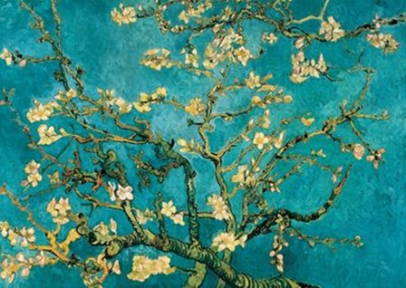 Mandorlo In Fiore by Vincent Van Gogh art print