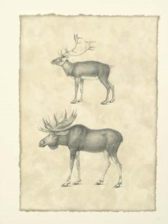 Vintage Elk art print