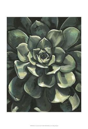 Printed Lunar Succulent I by Megan Meagher art print