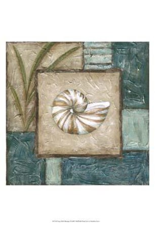 Large Shell Montage I by Chariklia Zarris art print