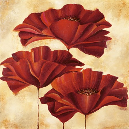 Three Poppies II by Nicola Rabbett art print