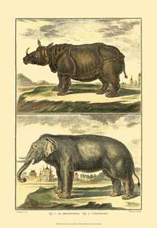 Elephant and Rhino by Denis Diderot art print