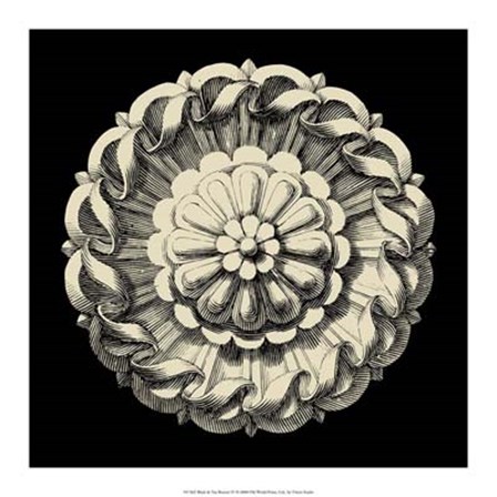 Black and Tan Rosette IV by Vision Studio art print