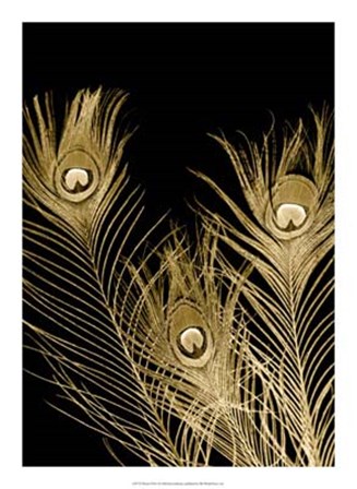 Plumes D&#39;or I by Jason Johnson art print