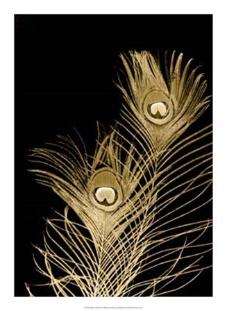 Plumes D&#39;or II by Jason Johnson art print