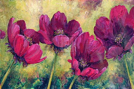 Cosmos by Angellini art print