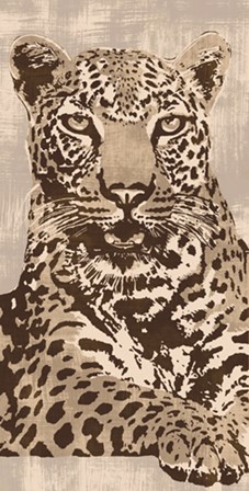 Leopard by Andrew Cooper art print