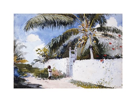 A Garden In Nassau by Winslow Homer art print