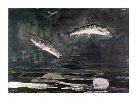 Leaping Trout by Winslow Homer art print