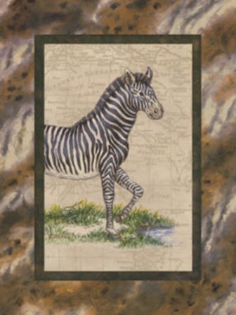 Zebra by Janet Kruskamp art print