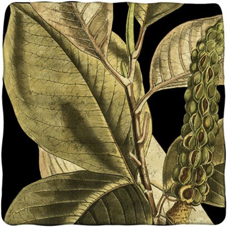 Tranquil Tropical Leaves II by Vision Studio art print