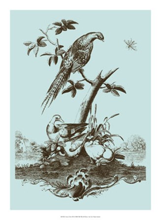 Avian Toile III by Vision Studio art print