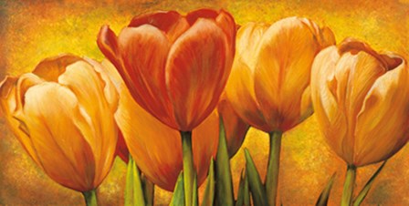 Bouquet of orange tulips by David Pedersen art print