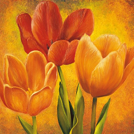 Orange Tulips I by David Pedersen art print