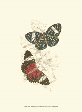 Butterflies I by Sir William Jardine art print