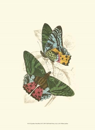 Butterflies III by Sir William Jardine art print