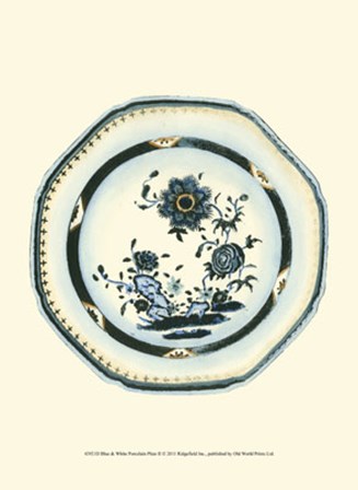 Blue &amp; White Porcelain Plate II art print