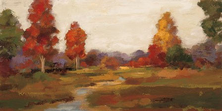 Fall Creek by Silvia Vassileva art print