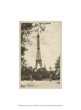 Summer in France VIII art print