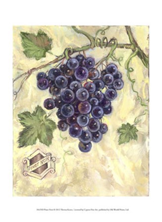 Pinot Noir by Theresa Kasun art print