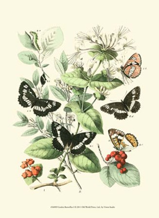 Garden Butterflies I by Vision Studio art print