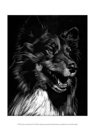 Canine Scratchboard X by Julie Chapman art print