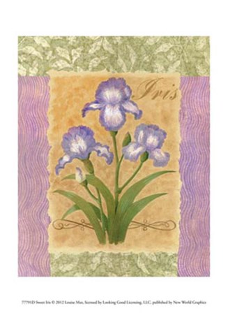 Sweet Iris by Louise Max art print