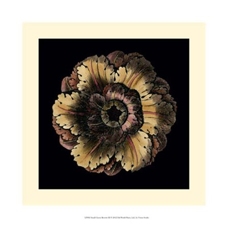 Small Classic Rosette III by Vision Studio art print