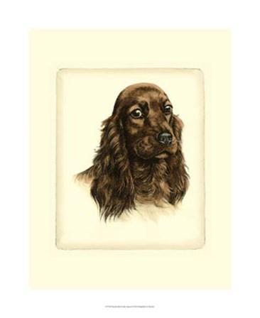 Red Cocker Spaniel by Leon Danchin art print