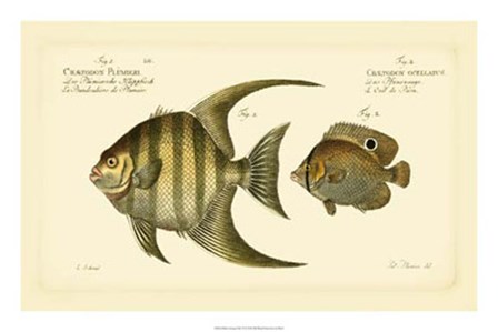 Antique Fish VI by Carl Bloch art print