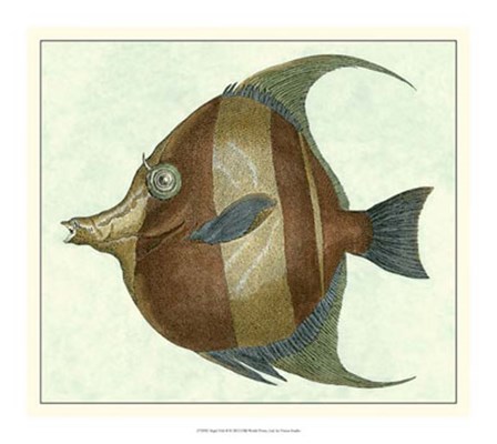 Angel Fish II by Vision Studio art print