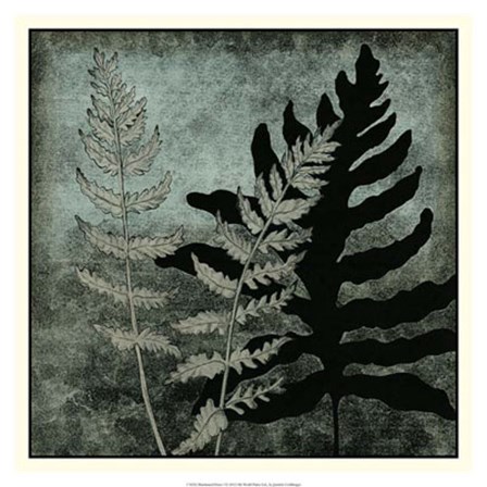 Illuminated Ferns I by Megan Meagher art print