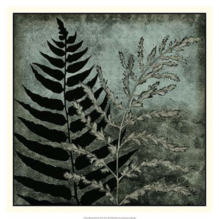 Illuminated Ferns III by Megan Meagher art print