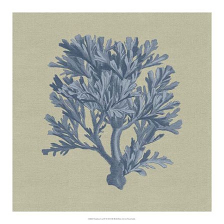 Chambray Coral IV by Vision Studio art print