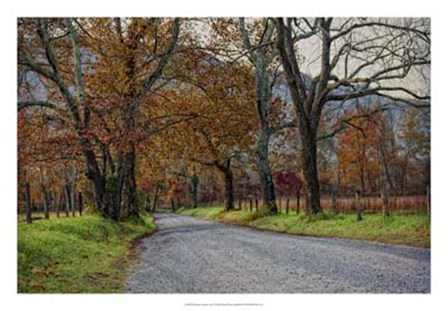 Morning on Sparks Lane I by Danny Head art print