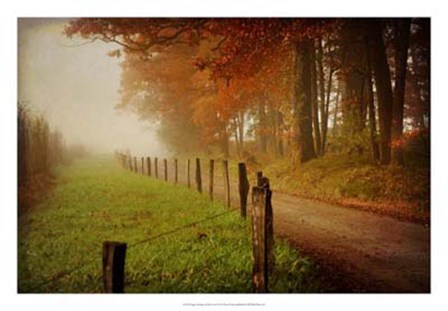 Foggy Morning on Hyatt Lane by Danny Head art print