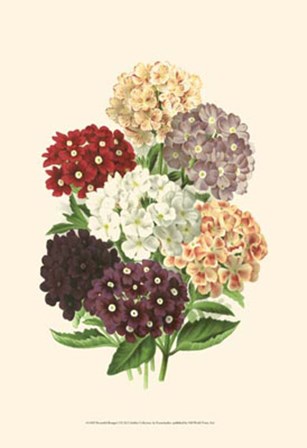 Bountiful Bouquet I by Pieter De Pannemaeker art print