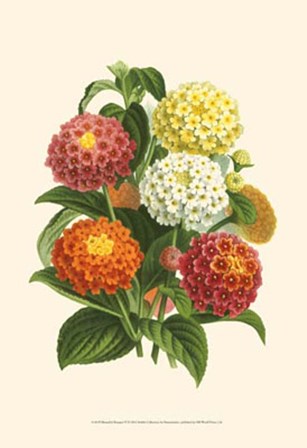 Bountiful Bouquet VI by Pieter De Pannemaeker art print