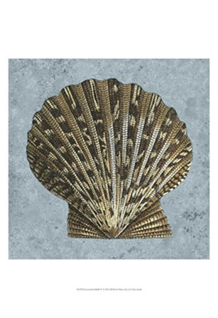 Stonewashed Shells IV by Vision Studio art print