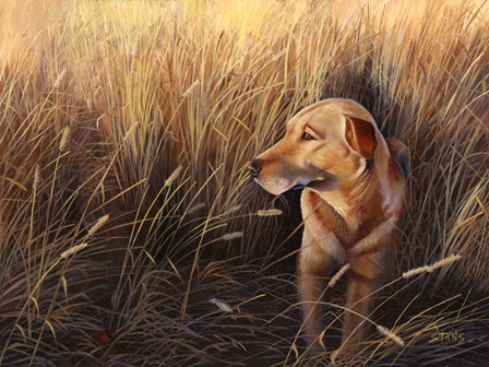 Golden Grass by Leo Stans art print