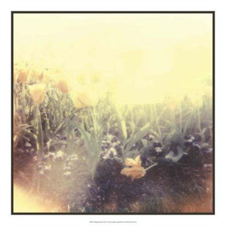 Tulipa Exposta IV by Jason Johnson art print