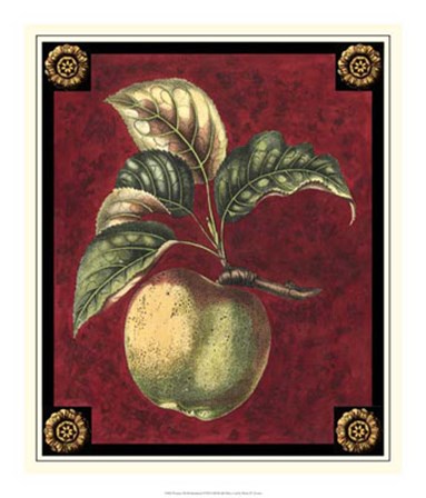 Pomme De Hubbardston by Pierre-Joseph D&#39;avoine art print