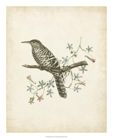 Delicate Birds IV art print