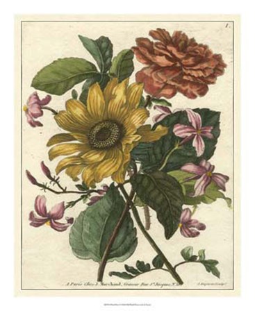 Floral Posy I by Giovanni Ferrari art print