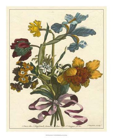 Floral Posy IV by Giovanni Ferrari art print