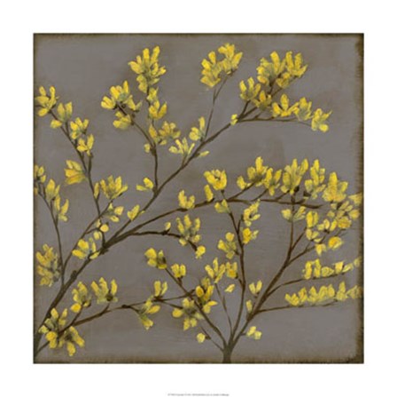 Forsythia I by Jennifer Goldberger art print